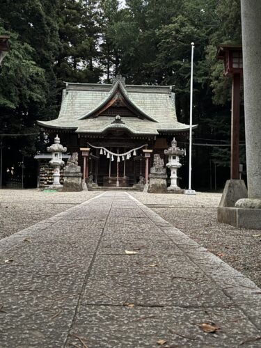 アリさん視点の境内