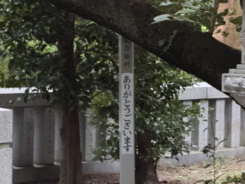 鳥居の振り返り