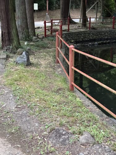 清々しい景色