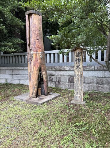 整った境内