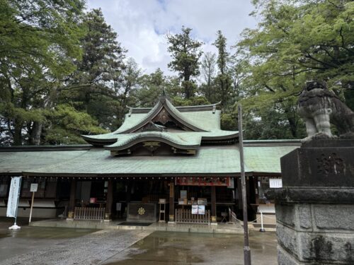 拝殿後ろの御神木