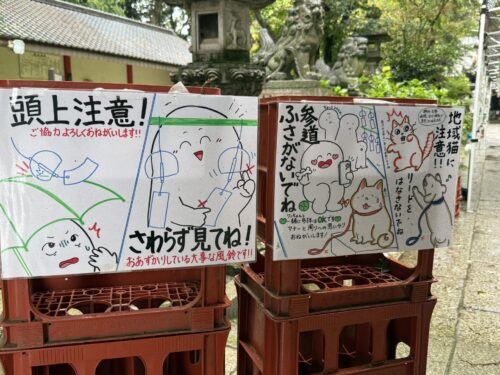 風鈴まつりのイラスト案内