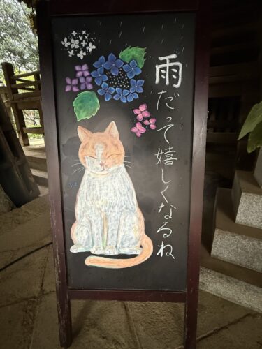 「雨だって嬉しくなるね」の猫の絵とメッセージ
