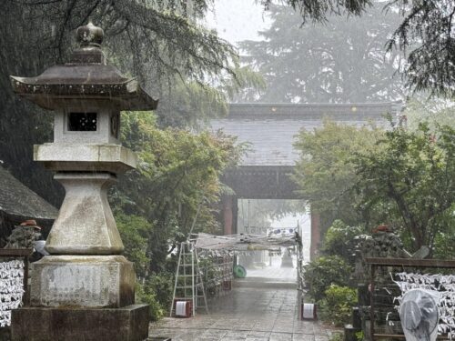 雨で霞む随身門