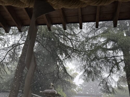 屋根から落ちる雨のしずく