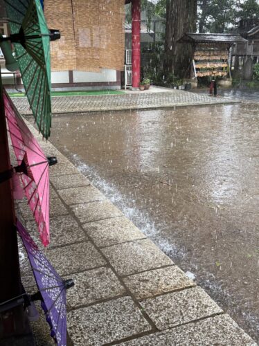 激しく打ち付ける雨