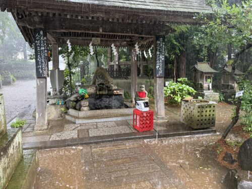 夏らしい手水舎の飾り