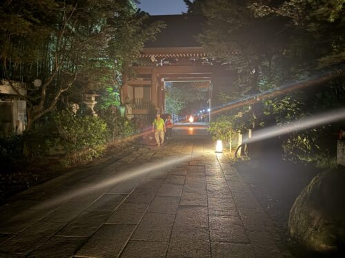 夜の参道の光