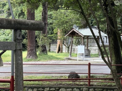 先代の御神木