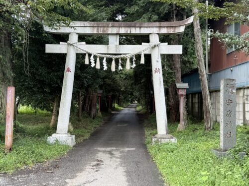 安房神社 鳥居