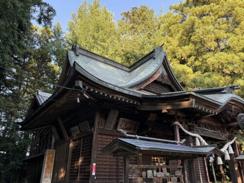 黄色づき始めたイチョウの木