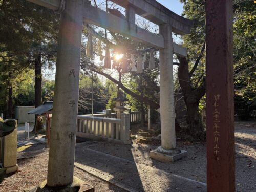 安房神社の清々しい境内